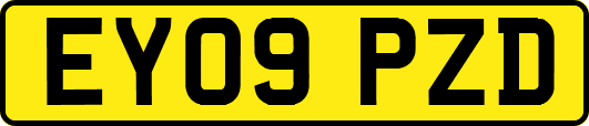 EY09PZD
