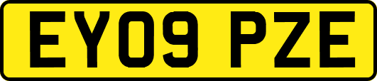 EY09PZE