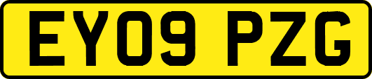 EY09PZG