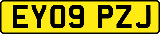 EY09PZJ