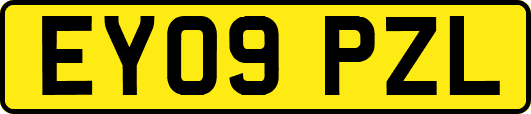 EY09PZL