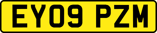 EY09PZM