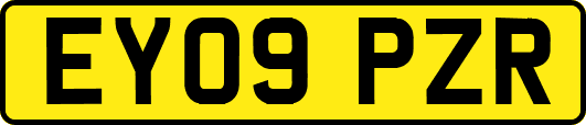 EY09PZR