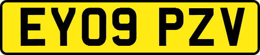 EY09PZV