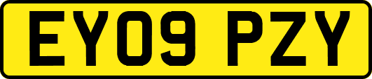 EY09PZY