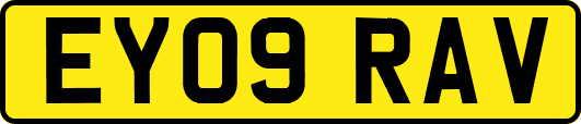 EY09RAV