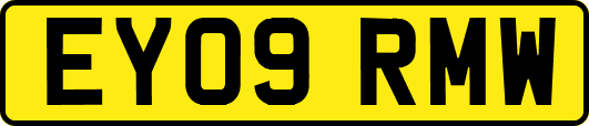 EY09RMW