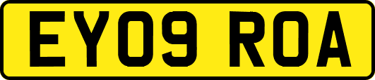 EY09ROA