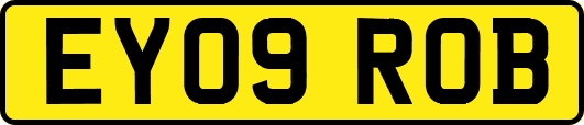 EY09ROB