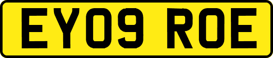 EY09ROE