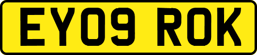 EY09ROK