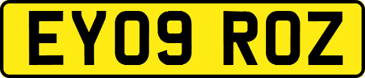 EY09ROZ