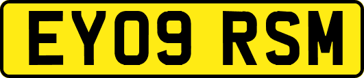 EY09RSM