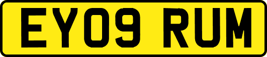 EY09RUM
