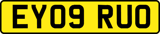 EY09RUO