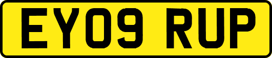 EY09RUP
