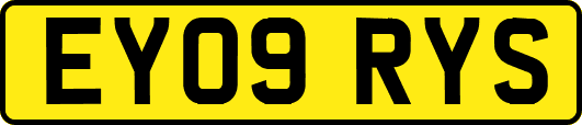EY09RYS