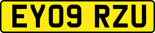 EY09RZU