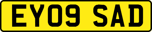 EY09SAD