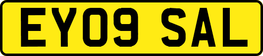 EY09SAL