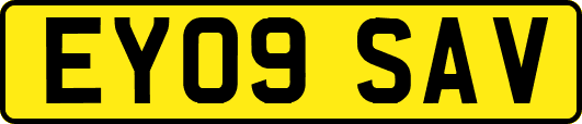 EY09SAV