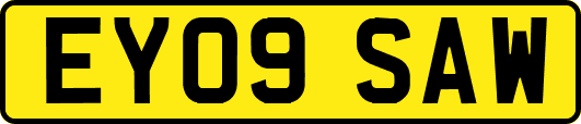 EY09SAW