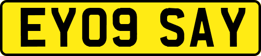 EY09SAY
