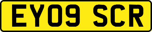 EY09SCR