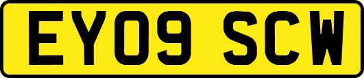 EY09SCW