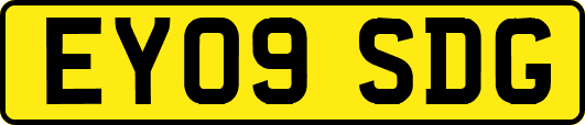 EY09SDG