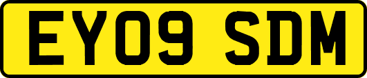 EY09SDM