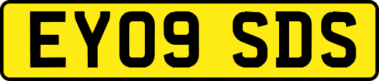 EY09SDS