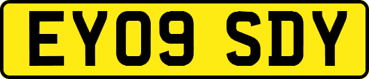 EY09SDY