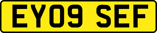 EY09SEF