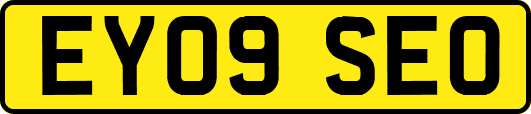 EY09SEO