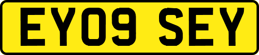EY09SEY