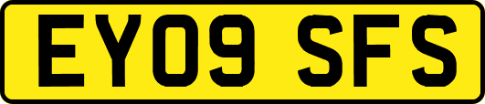 EY09SFS