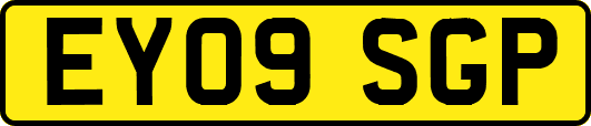 EY09SGP