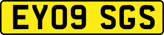 EY09SGS