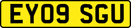 EY09SGU