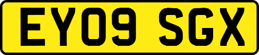 EY09SGX