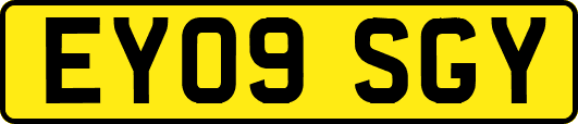 EY09SGY