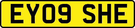 EY09SHE