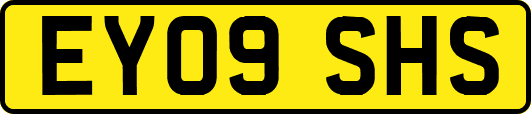 EY09SHS
