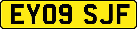 EY09SJF
