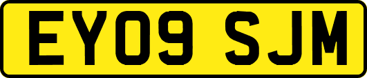 EY09SJM