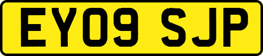 EY09SJP