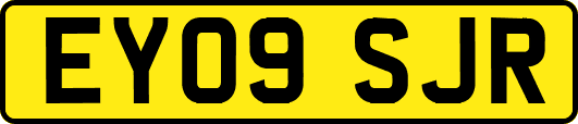 EY09SJR
