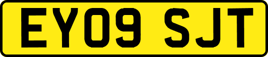 EY09SJT