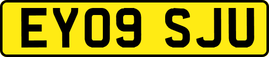 EY09SJU